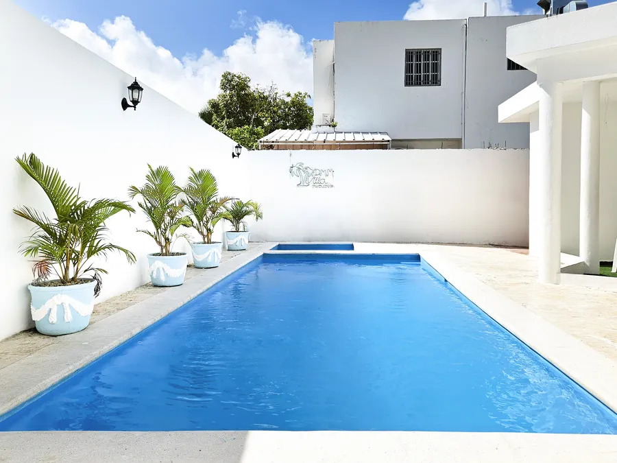 Potted palms the length of the pool wall