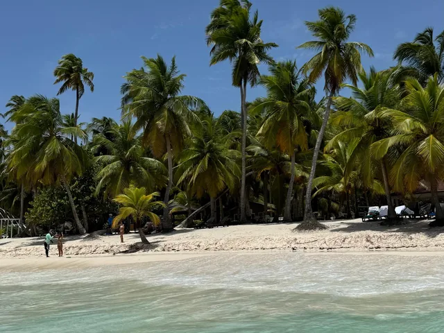 An empty stretch of white sand and palms on Isla Saona