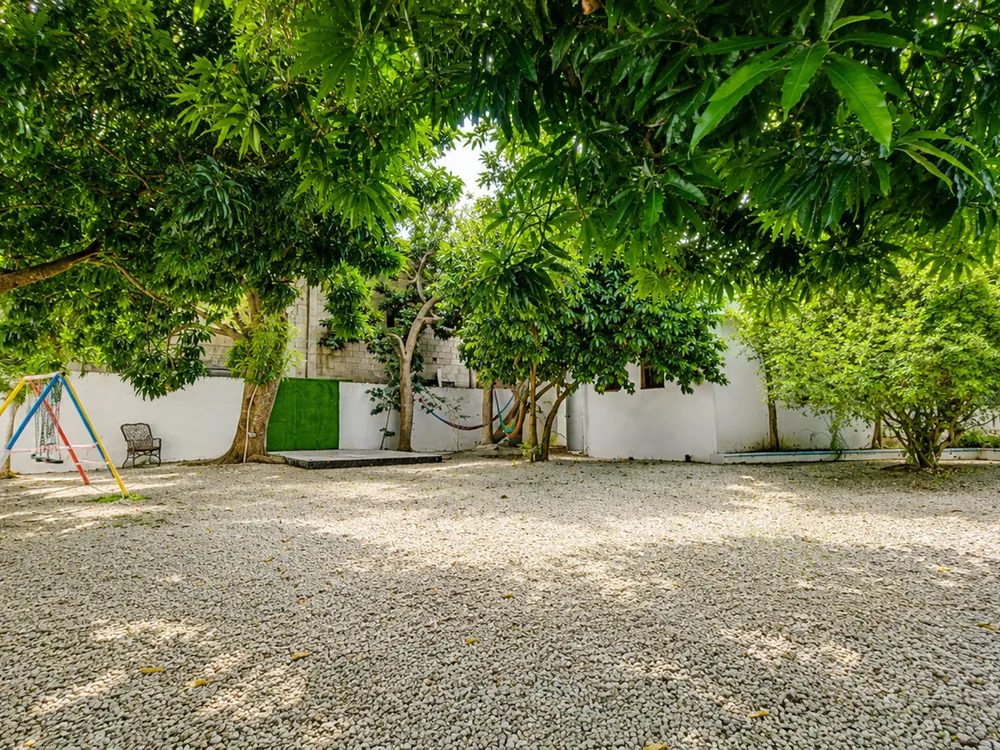The wide gravel garden with its mature shade trees